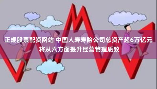 正规股票配资网站 中国人寿寿险公司总资产超6万亿元 将从六方面提升经营管理质效