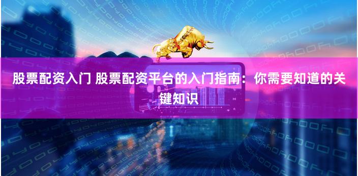 股票配资入门 股票配资平台的入门指南：你需要知道的关键知识