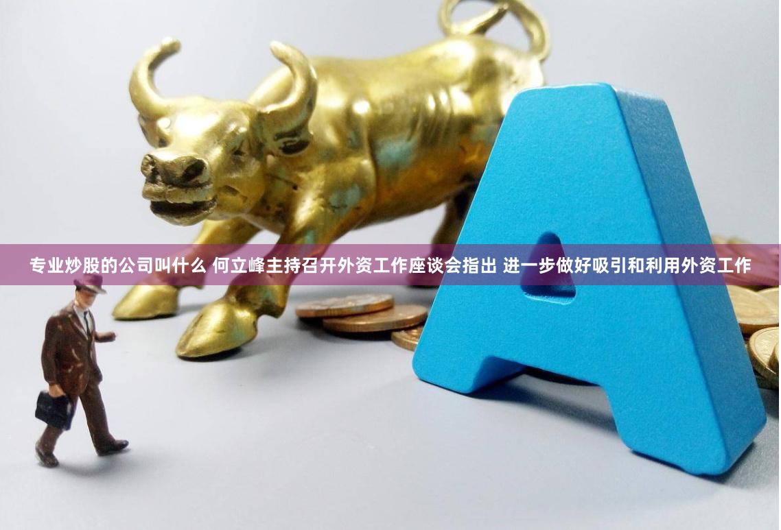 专业炒股的公司叫什么 何立峰主持召开外资工作座谈会指出 进一步做好吸引和利用外资工作