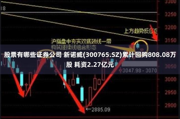 股票有哪些证券公司 新诺威(300765.SZ)累计回购808.08万股 耗资2.27亿元