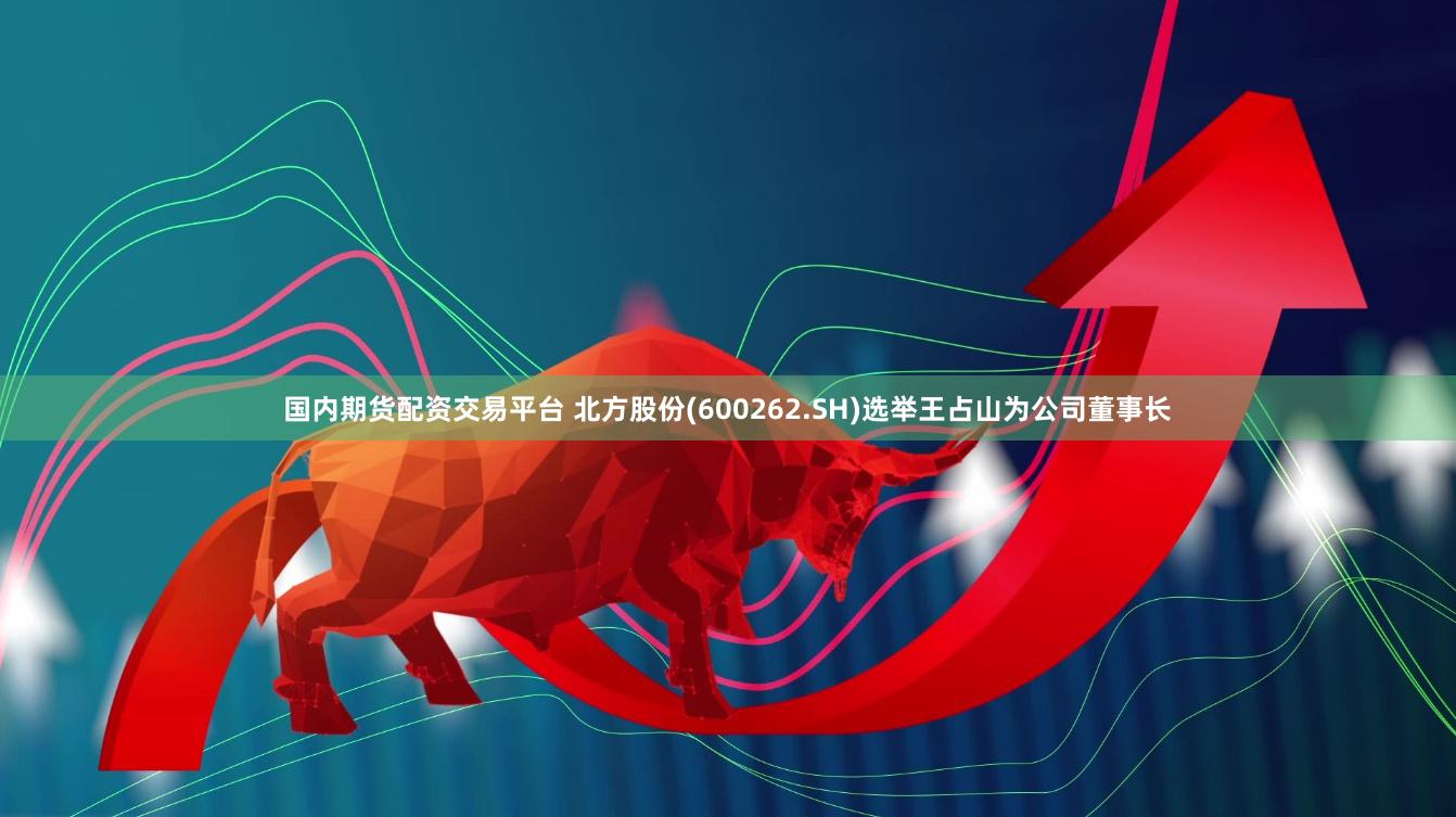 国内期货配资交易平台 北方股份(600262.SH)选举王占山为公司董事长