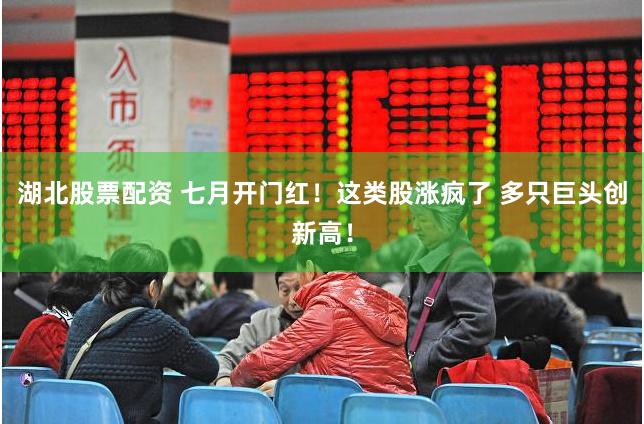 湖北股票配资 七月开门红！这类股涨疯了 多只巨头创新高！