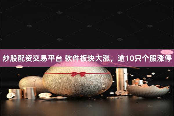 炒股配资交易平台 软件板块大涨，逾10只个股涨停